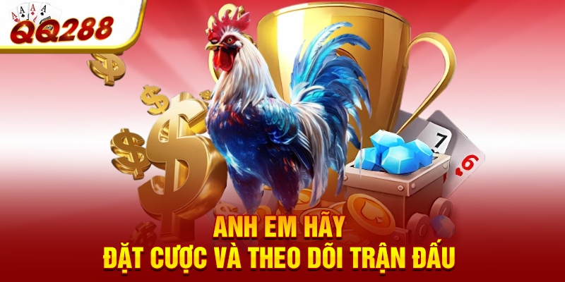 Anh em hãy đặt cược và theo dõi trận đấu 