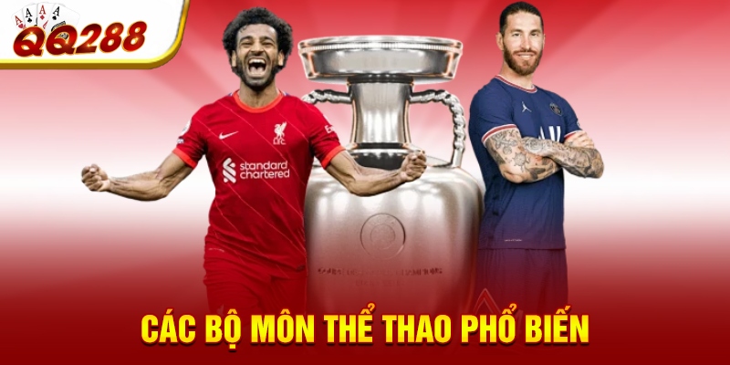 Các bộ môn thể thao phổ biến