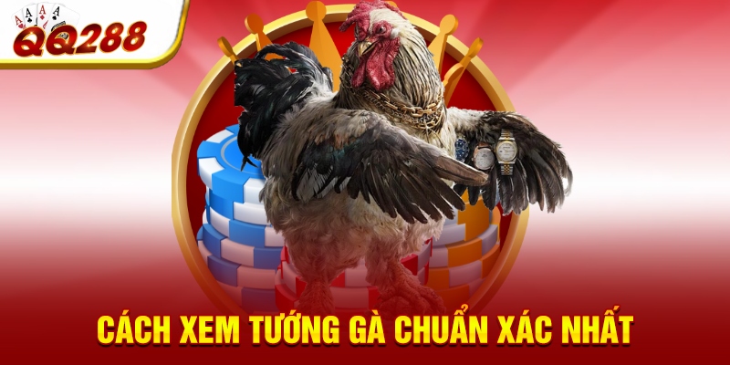 Cách xem tướng gà chuẩn xác nhất