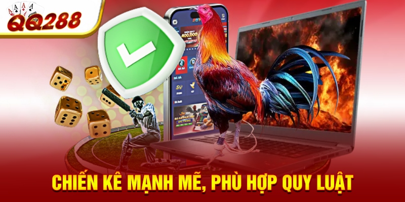 Chiến kê mạnh mẽ, phù hợp quy luật