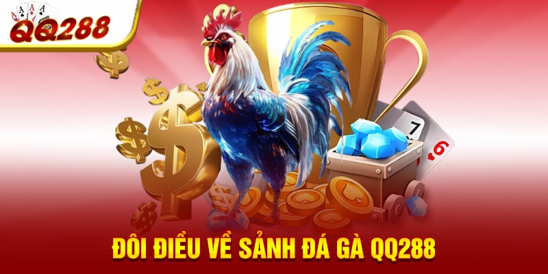 Đôi điều về sảnh đá gà QQ288