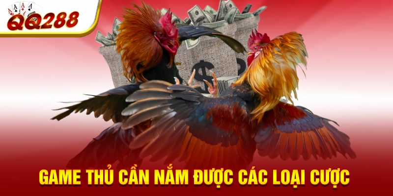 Game thủ cần nắm được các loại cược 