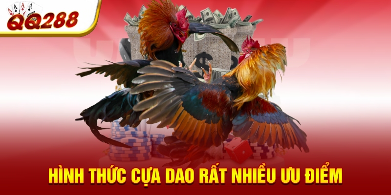 Hình thức cựa dao rất nhiều ưu điểm