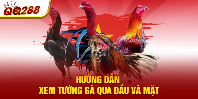 Hướng dẫn xem tướng gà qua đầu và mặt