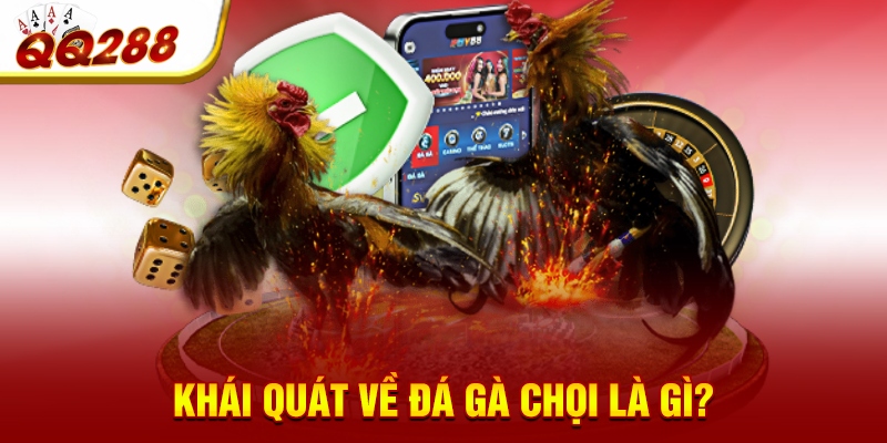 Khái quát về đá gà chọi là gì?