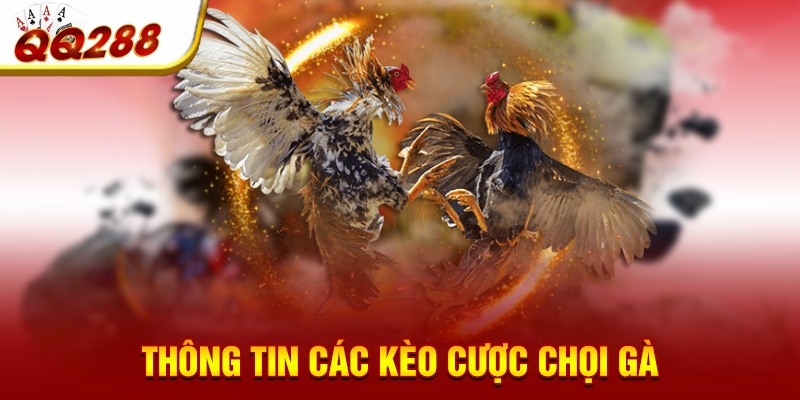 Thông tin các kèo cược chọi gà