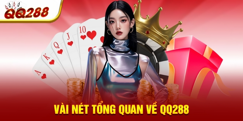 vai net tong quan ve qq288