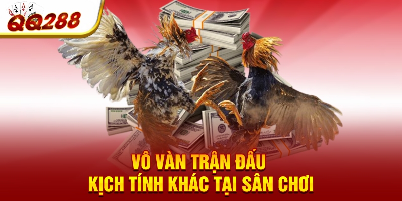 Vô vàn trận đấu kịch tính khác tại sân chơi